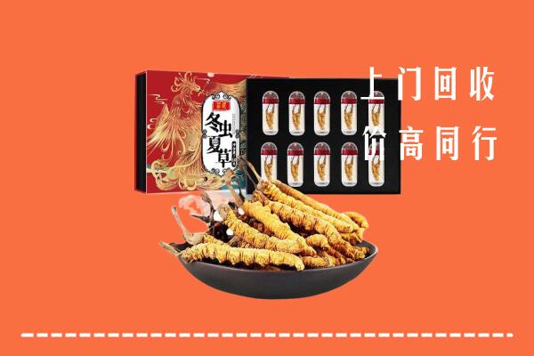 附近收购:厦门回收虫草